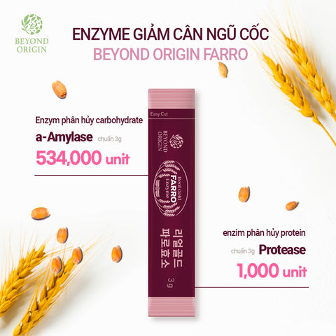 [Beyond Origin] Men Tiêu Hóa Ngũ Cốc Lên Men Real Gold Farro Enzyme