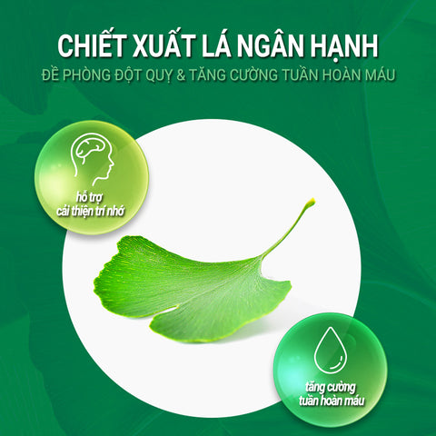 [Boryung] Viên Cải Thiện Trí Nhớ Và Tuần Hoàn Máu Ginkgo Premium 100
