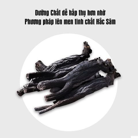 [Donguisam] Cao Hắc Sâm Hoa Chuông Đen Cửu Chưng Cửu Sái