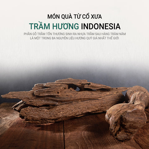 [Donguisam] Viên  Viên An Cung Trầm Hương Nhung Hươu Bổ Hoàn Khí Lực - 60 Viên